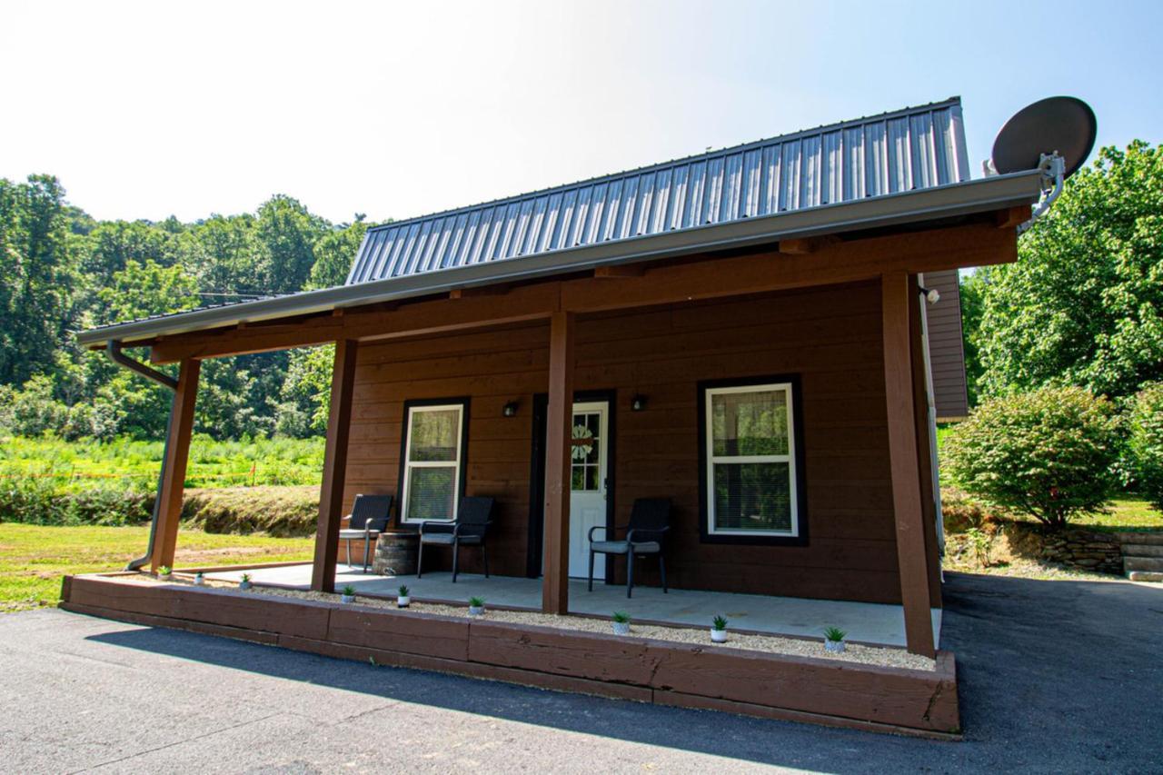 Mountain Haven Dragon'S Nest Cabin Robbinsville Bagian luar foto